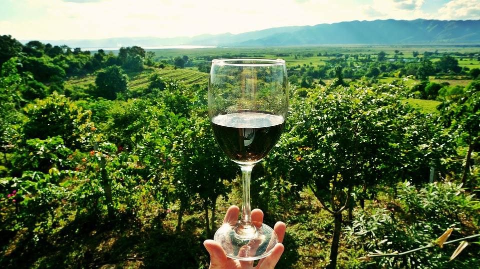 Conseillère en vin discutant d’accords mets-vins avec un client